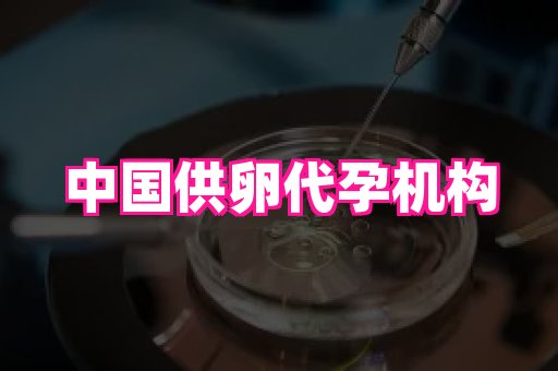 安徽助孕网 3